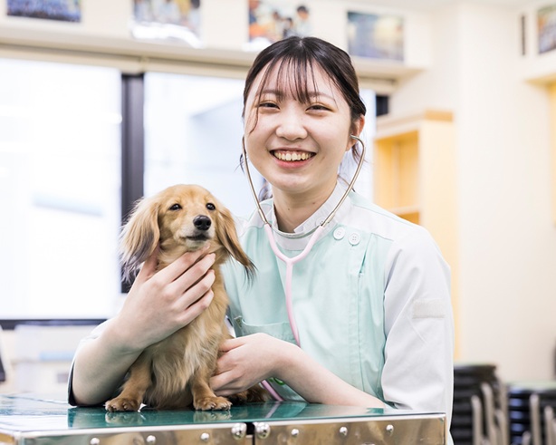 大阪ECO動物海洋専門学校 ワンちゃんの看護師さん体験