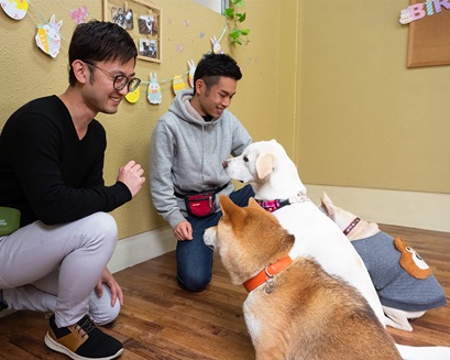 大阪ECO動物海洋専門学校 ドッグトレーナーのお仕事体験!!【家庭犬】