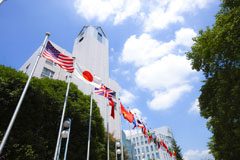 東京国際大学
