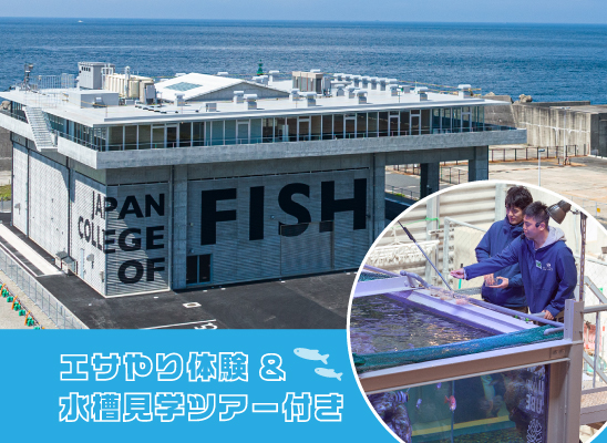日本さかな専門学校 6月22日(日)エサやり体験&水槽見学ツアー