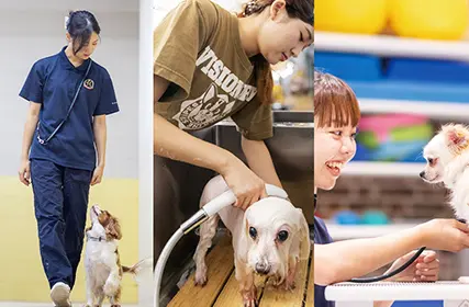 専門学校ビジョナリーアーツ[ペット学科／動物看護学科] 5月17日【3専攻よくばり体験】初めての方におすすめ！