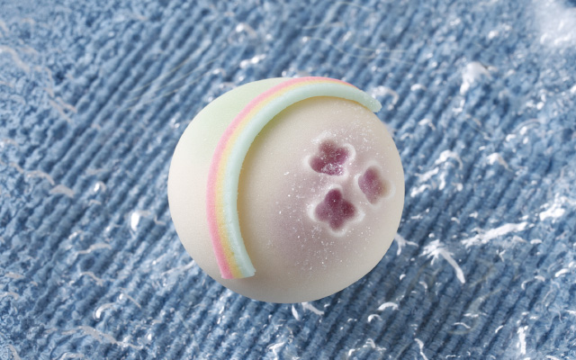 東京製菓学校 じっくり体験DAY【和菓子コース】