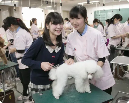 東京愛犬専門学校 ☆体験入学☆